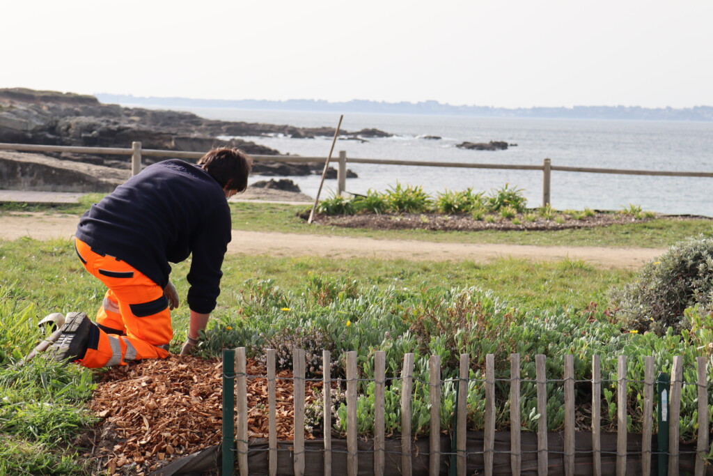 agent de la Ville entretien des espaces verts